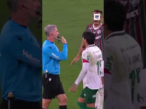 PALMEIRAS FOI ROUBADO?! ESSE LANCE CONTRA O FLUMINENSE DIVIDIU A TORCIDA! 😱