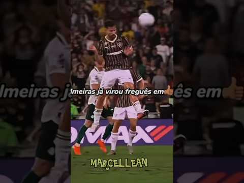 JÁ virou freguês em👍🏼🤣 #palmeiras #fluminense #gol #engraçado #futebolbrasileiro #futebol